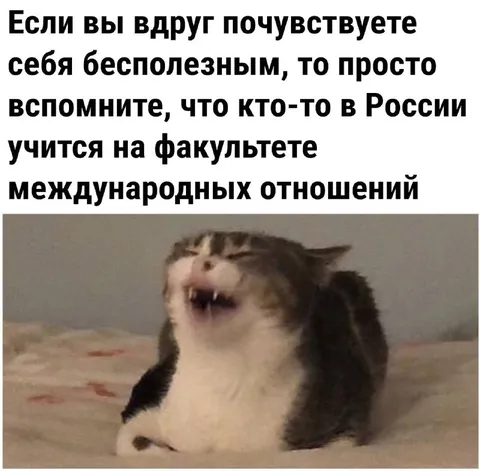 Факультет международных отношений