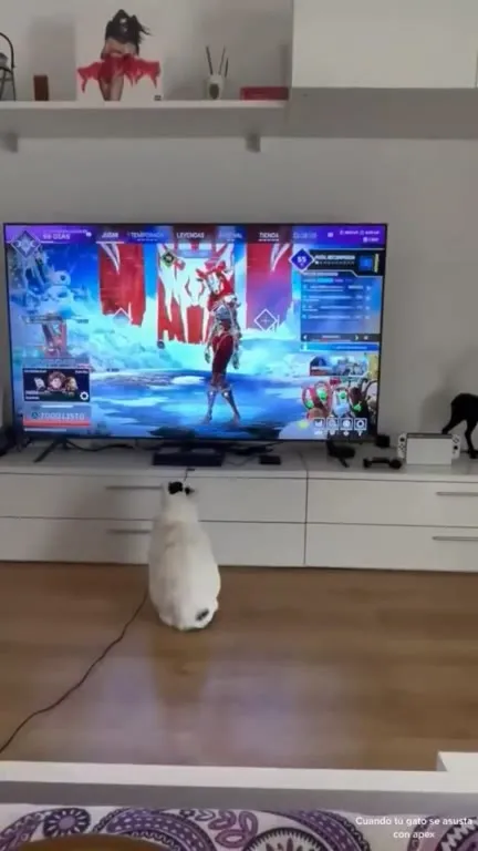 Cuando tu gato se asusta con Apex