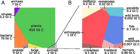 Earth's Biomass by Kingdom