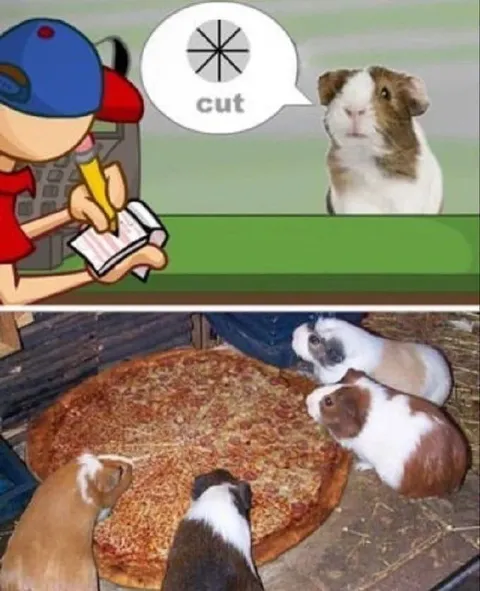 Guinea Pigs Cut the Pizza