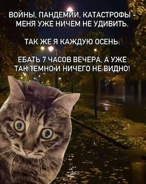 Осенью уже в семь темно