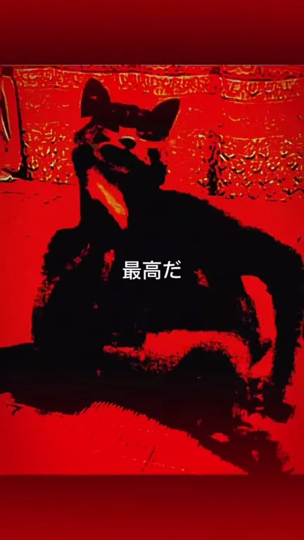 最高だ猫ダンス