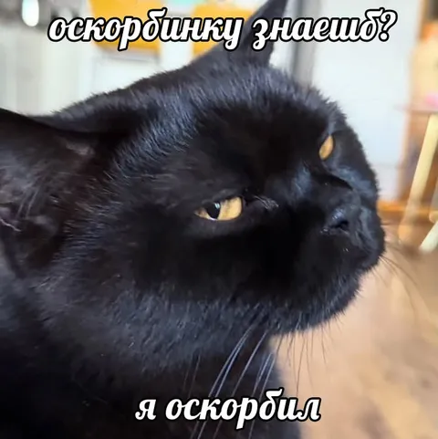 Оскорбишку знаешь?