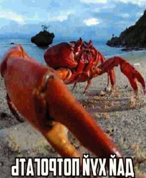 Красный краб на пляже
