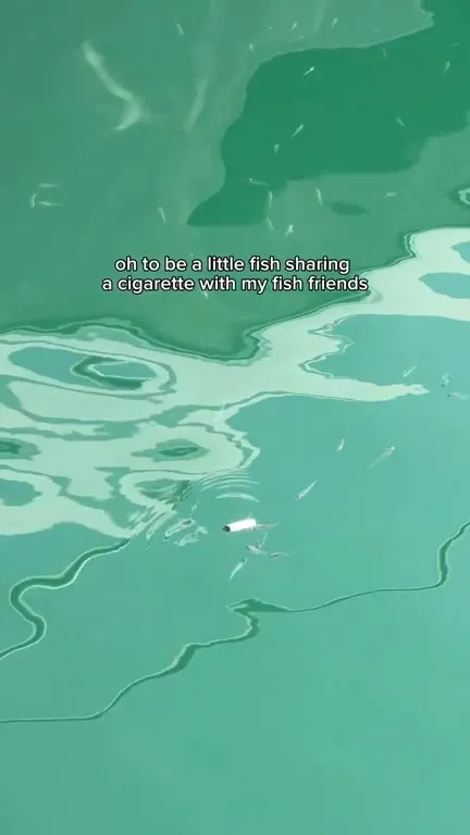 Fish Sharing a Cigarette