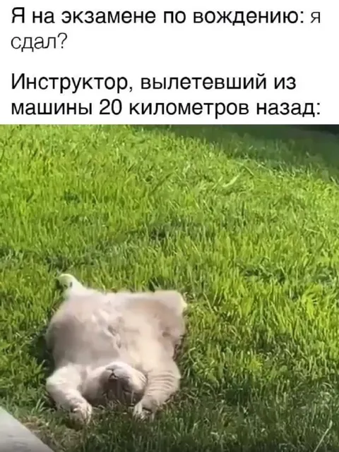 Инструктор после экзамена по вождению