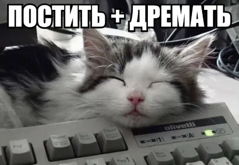 Постить и дремать