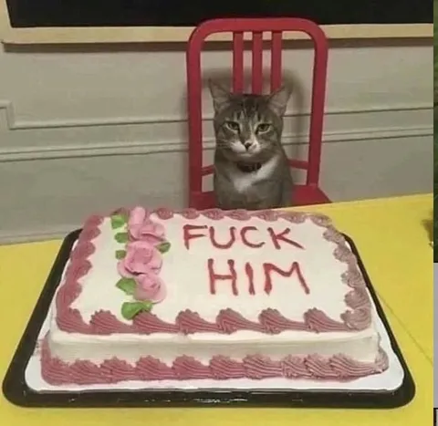 Cat With a Fuck Him Cake