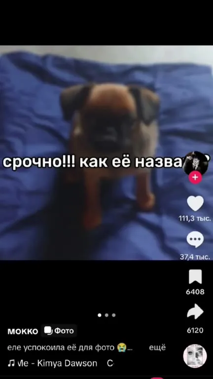 Срочно, как её назва