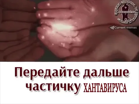 Передайте частичку ХАНТАВИРУСА