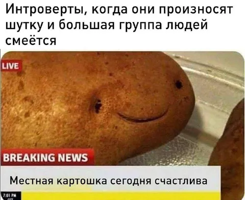 Интроверт случайно рассмешил всех