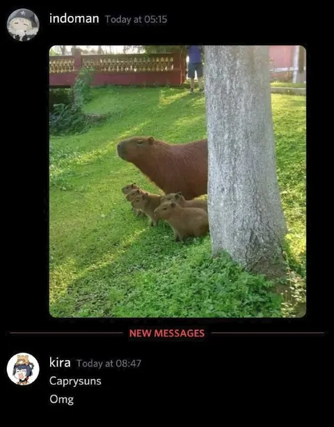 Capybara Family Reaction