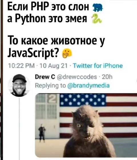 Какое животное у JavaScript