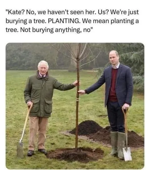 Kate We’re Just Planting a Tree