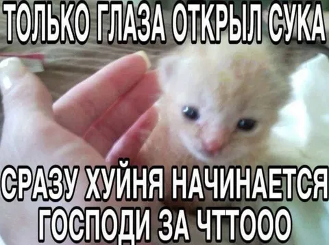 Только глаза открыл — уже хуйня