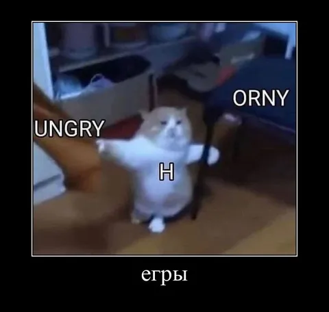 Hungry and Horny Cat