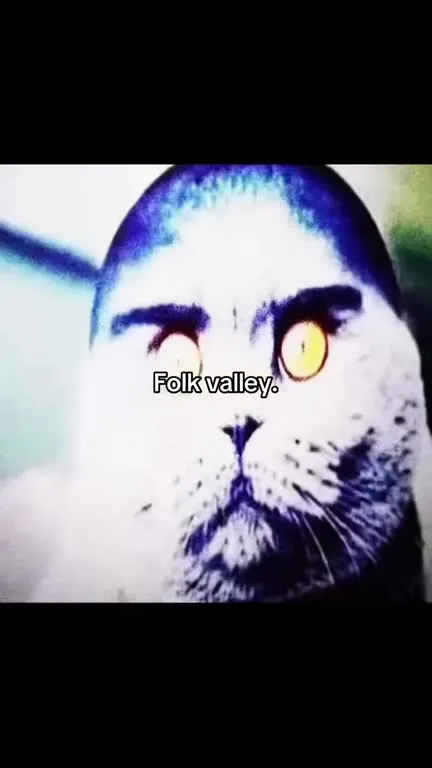 Folk Valley Goes Insane