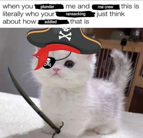 Pirate Cat Reaction