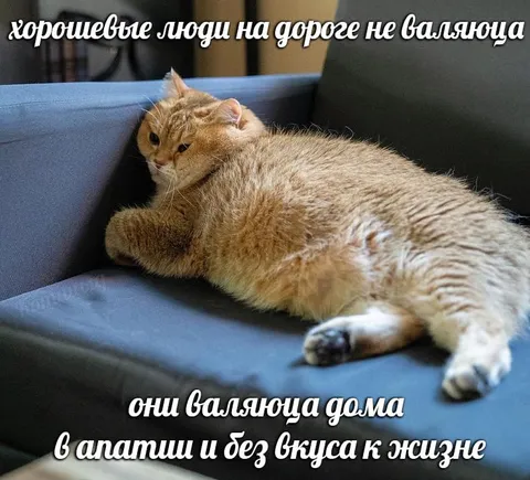Хорошевые люди валяются дома