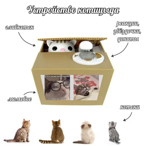 Устройство котицупа