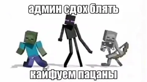 Админ сдох — кайфуем пацаны