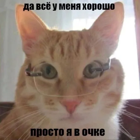 У меня всё хорошо, просто я в очке