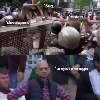 Developers Fight the Bug