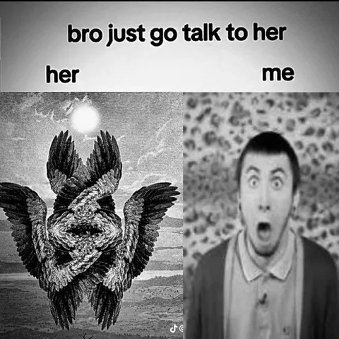 Bro Just Go Talk to Her