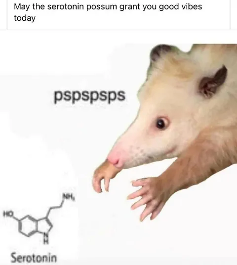 Serotonin Possum Good Vibes