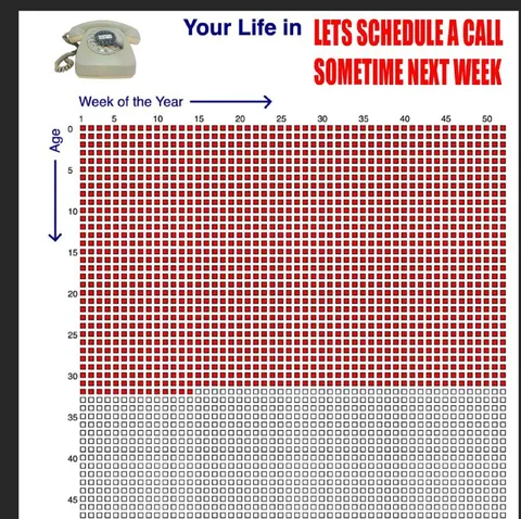 Your Life in Weeks Call Meme