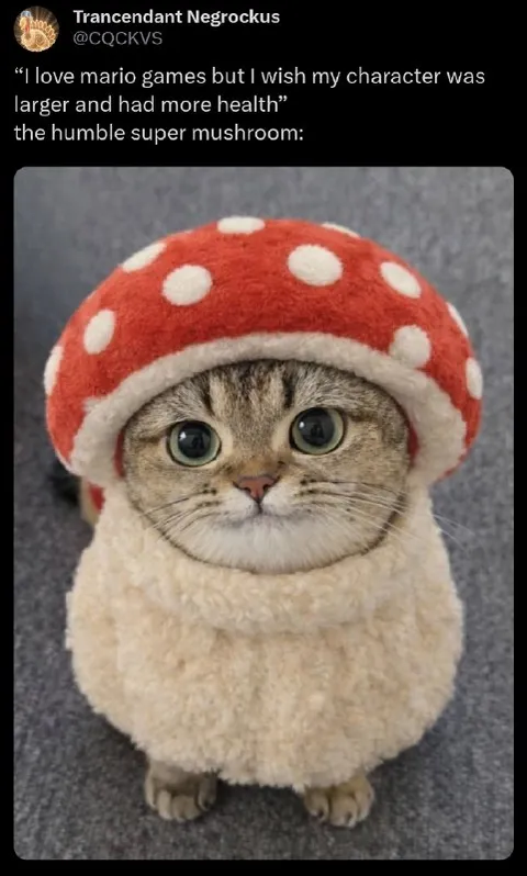 Larger Super Mushroom Cat