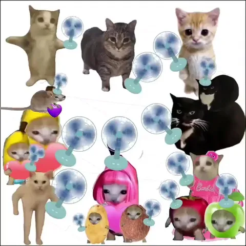 Cats Cooling Off With Fans