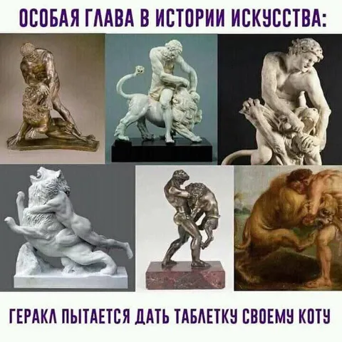 Геракл пытается дать таблетку коту