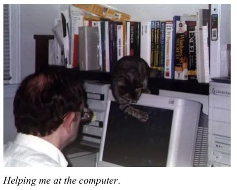 Cat Helping at the Computer