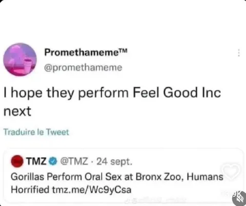 Gorillas Perform Feel Good Inc