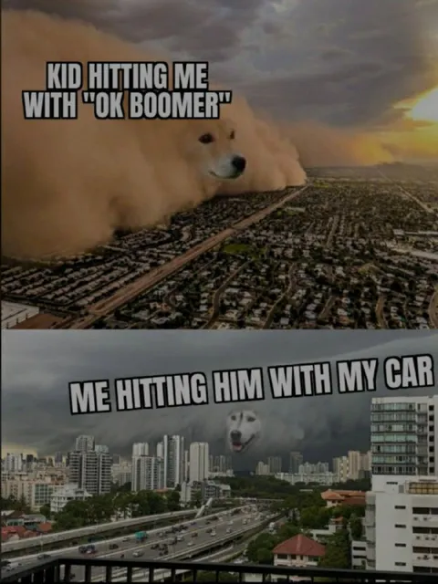 Ok Boomer Car Strike