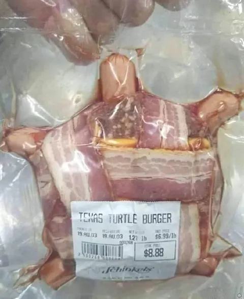 Texas Turtle Burger