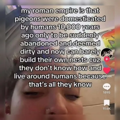 Pigeons Were Abandoned by Humans