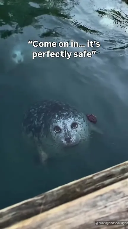Come on in, it’s perfectly safe
