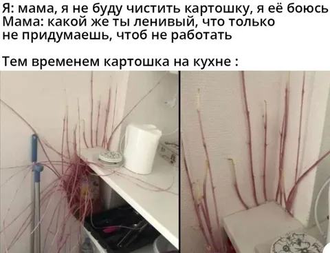 Картошка-монстр на кухне
