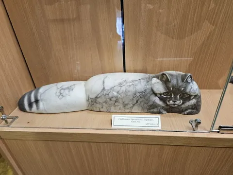 Новый каменный кот
