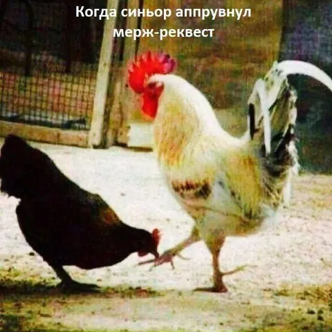 Синьор аппрувнул мерж-реквест