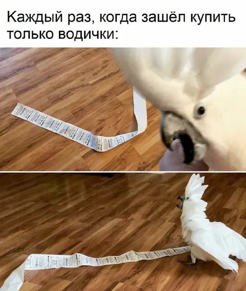 Зашёл только за водичкой