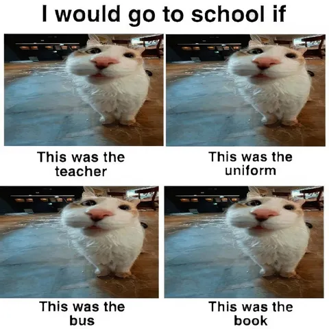 I Would Go to School If