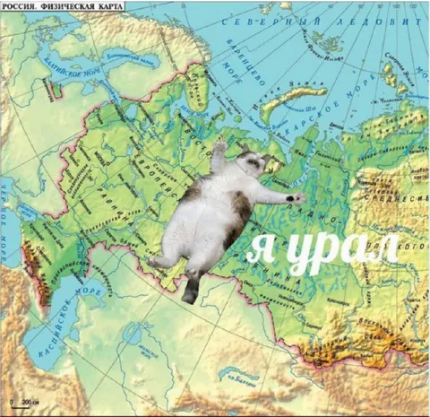 Кот на Урале