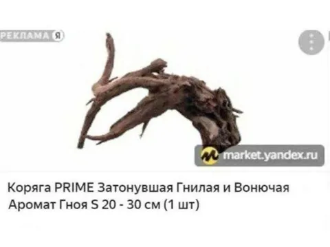 Коряга с ароматом гноя