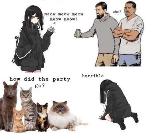 Meow Meow Party Was Horrible