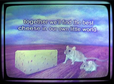 Together We'll Find the Best Cheese