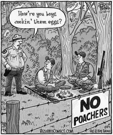 No Poachers Egg Joke