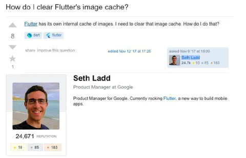 Flutter Image Cache Question
